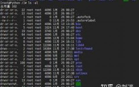 l命令有何功能与使用场景？