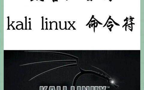 Veritas命令是什么？如何使用？