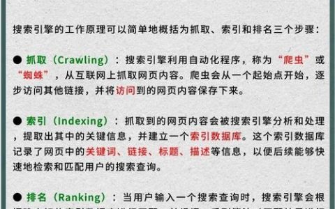 企业网站SEO该怎么做？关键步骤有哪些？