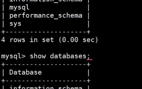 如何用命令进入MySQL数据库？