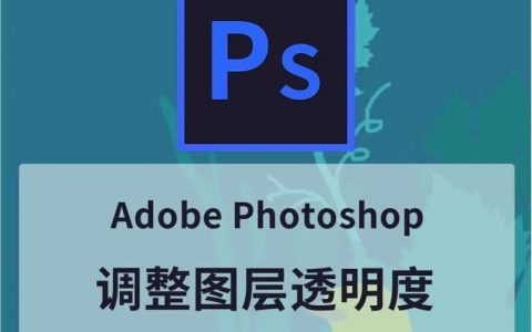 PS如何不保存透明区域?