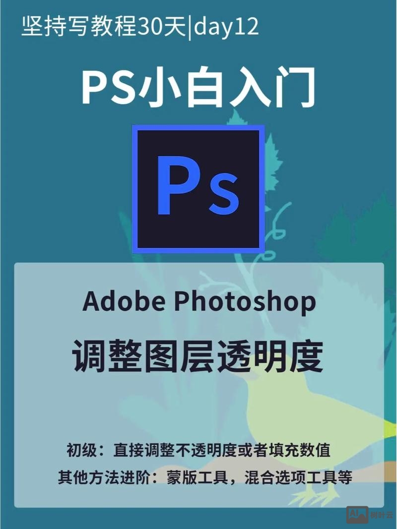 ps如何不保存透明区域