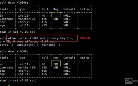 如何进入MySQL数据库命令行？