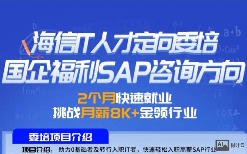 招聘 sap 开发