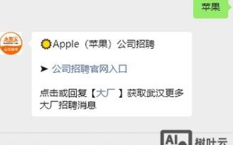 Apple如何吸引顶尖人才？
