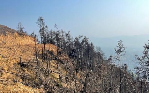 手机53kf怎么登录？