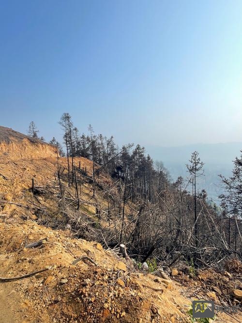 手机53kf如何登陆