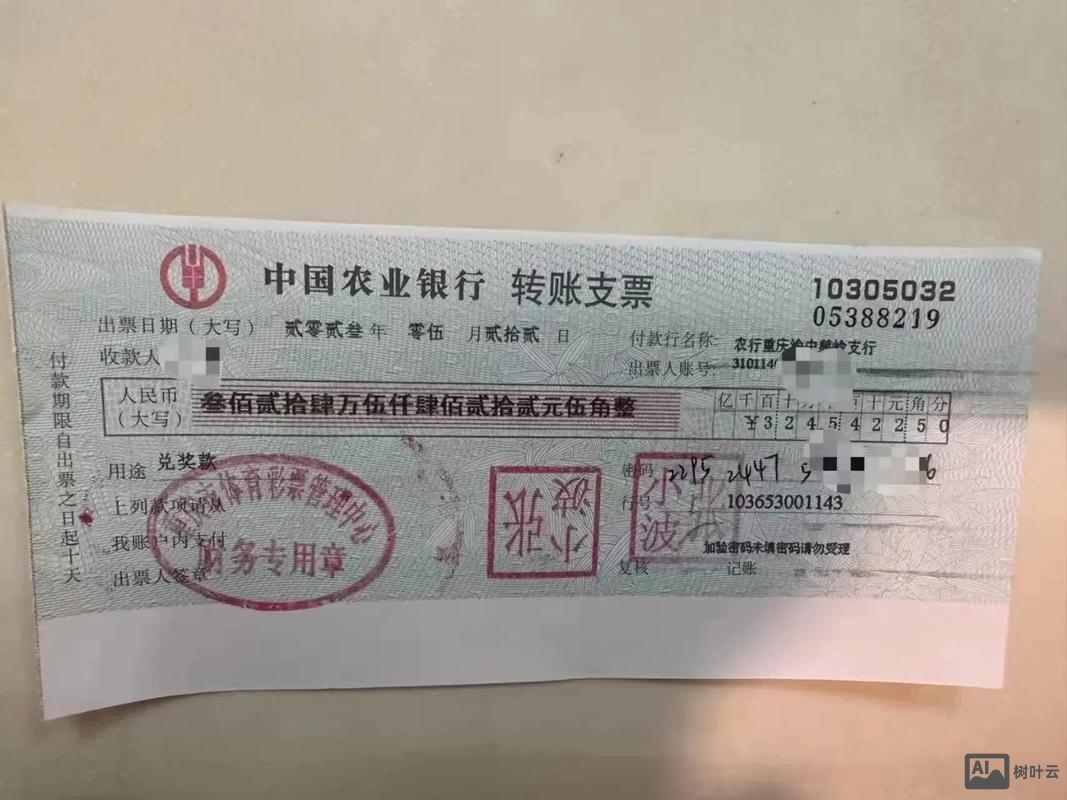 支票的真实性如何审核