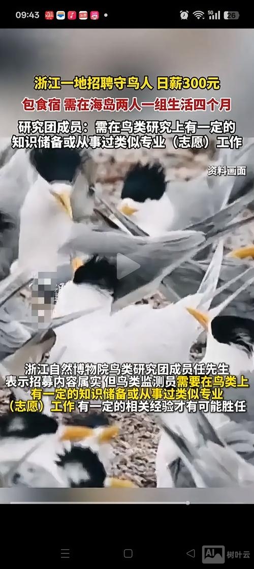 考过鸟招聘