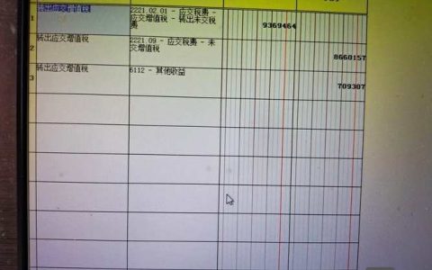 单位交税明细账怎么打印？