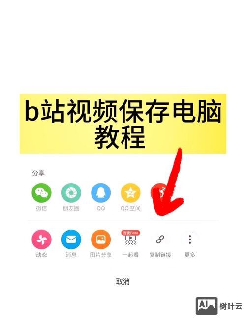 如何在网站插做视频