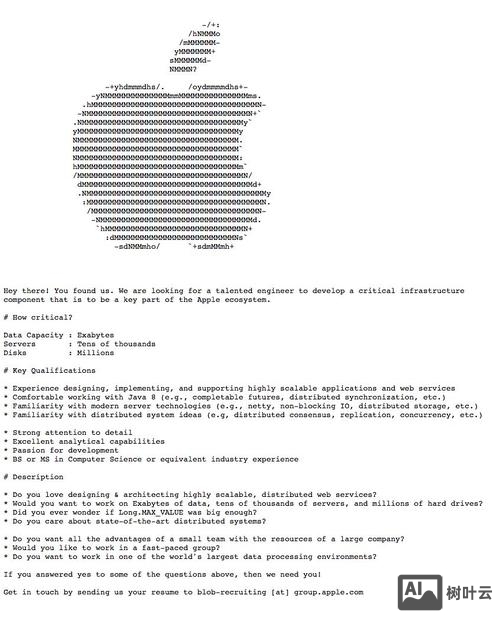苹果招聘 试卷