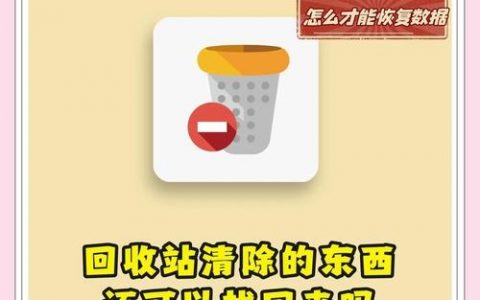 命令如何快速清空回收站？