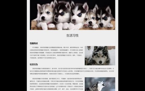 静态网页设计的关键步骤有哪些？