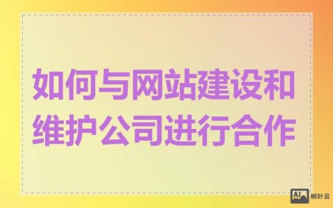 如何高效联系网站建设者？