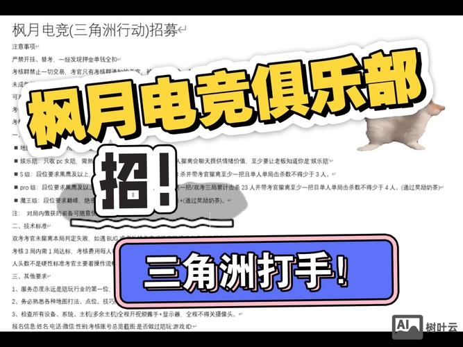 攻击小组招聘