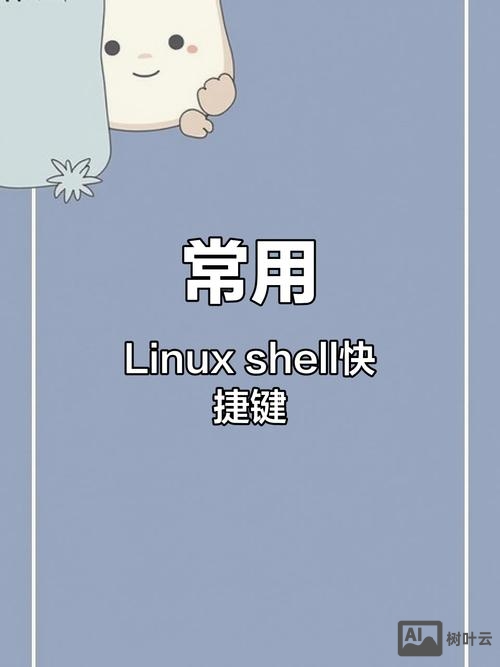 shell 命令行 快捷键