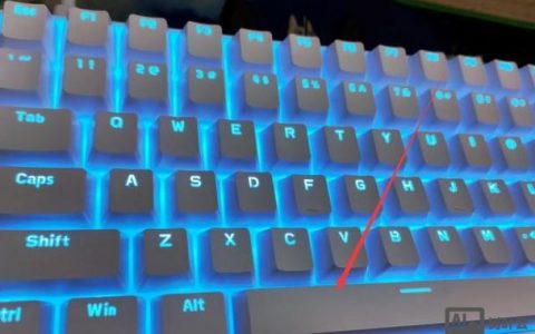 网页制作中空格键为何无效?