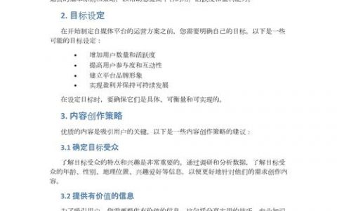 如何设计出高效落地的运营方案？