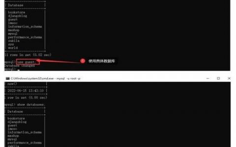 cmd连接MySQL数据库的具体命令是什么？