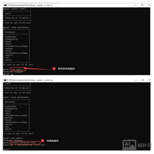 cmd连接mysql数据库命令