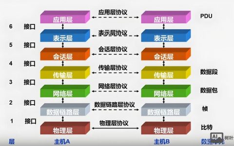 网络结构优化，关键点与实战技巧是什么？