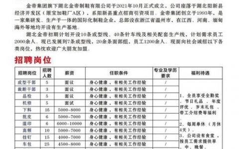 招聘消息文本具体包含哪些关键信息？