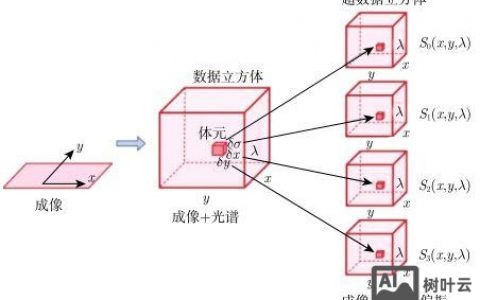偏振成像招聘，需要哪些核心能力？