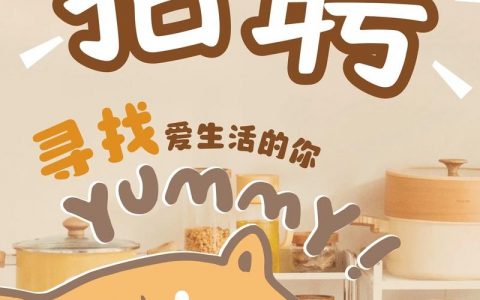 山海树招聘，有何岗位与要求？