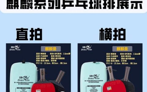 双鱼乒乓招聘，具体岗位和要求是什么？