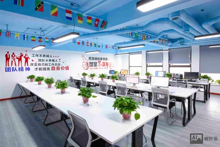 如何做好网络公司经营