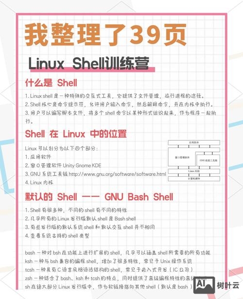 unix shell常用命令