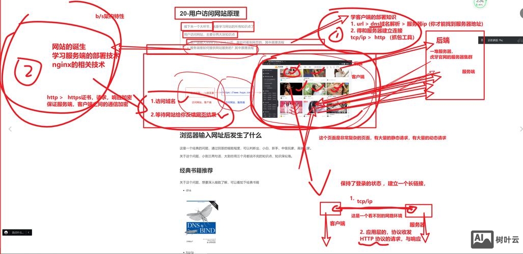 如何看域名有没有解析