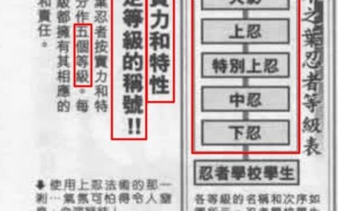 双兵命令如何协同忍者村作战？