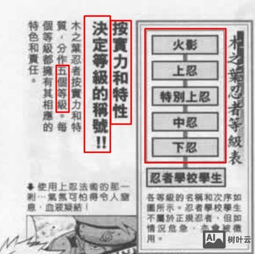 忍者村大战双兵命令