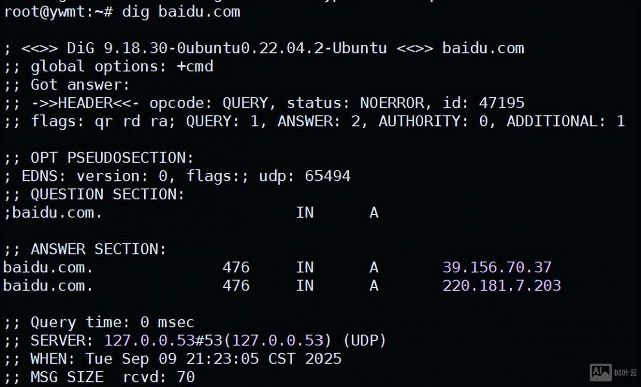 如何查询网站服务器地址