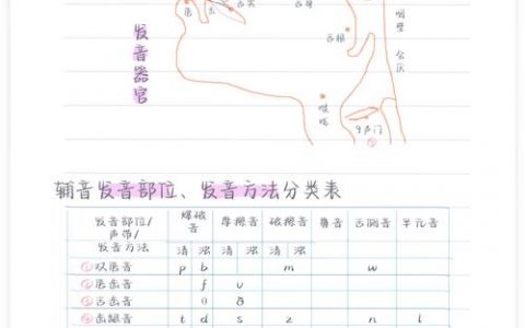 12个清辅音怎么记？