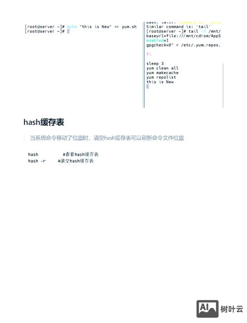 linux查看最近执行的命令