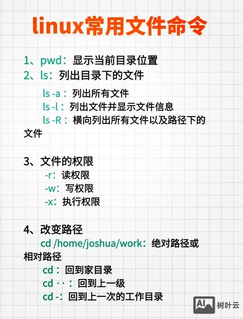 linux文件和目录操作命令