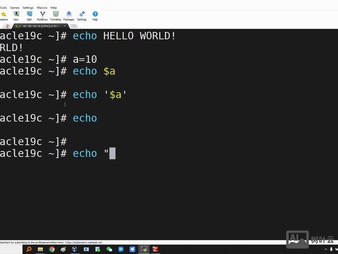 linux常用命令 echo