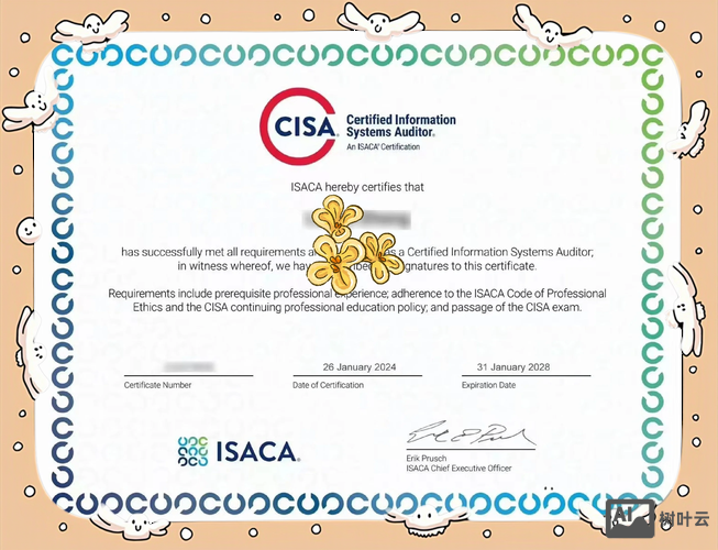 cisa审计招聘