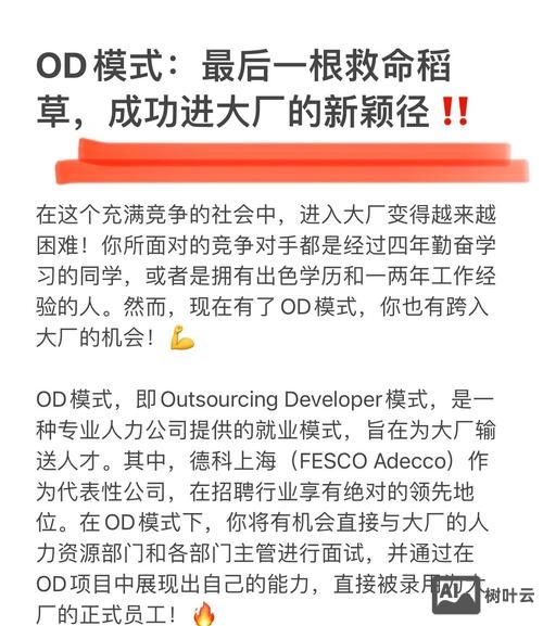 OD招聘模式