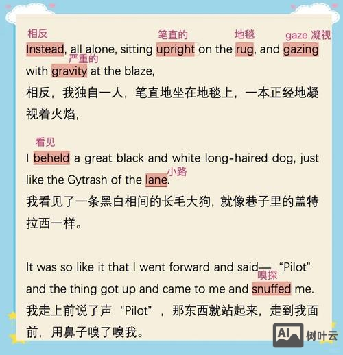 jane英语24个单字如何读