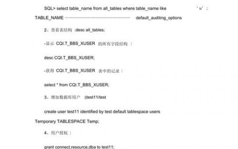 Oracle数据库基础命令有哪些核心操作？