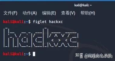 cass命令栏不见了