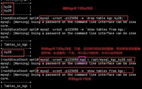 SQL关闭数据库的正确命令是什么?