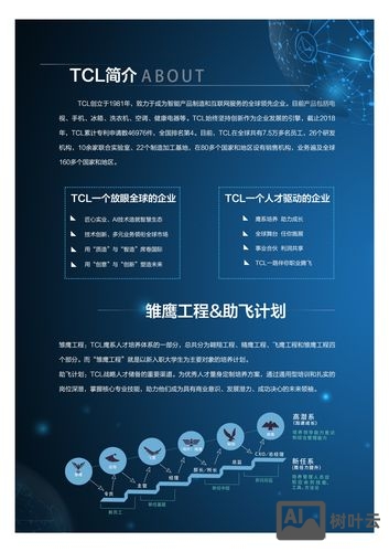 tcl 专利招聘