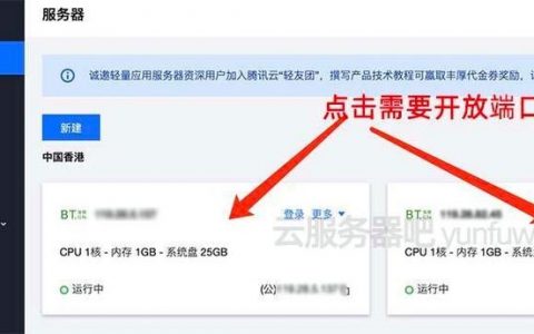 如何快速查看网站服务器系统信息？