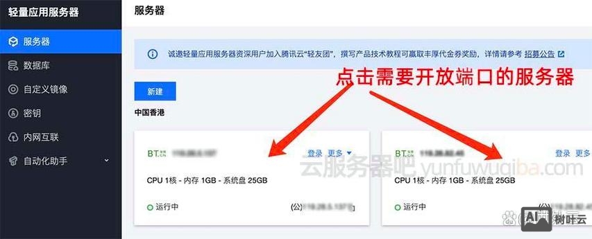 如何查看网站服务器系统