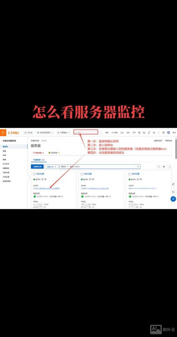 如何查看网站服务器系统